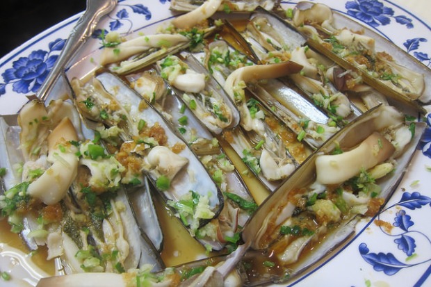 razor clams